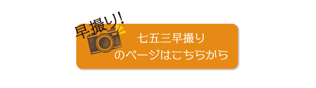 ファッションショー募集